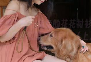 IESS异思趣向 - 兔兔的花花衬衫在哪里？图库资源即将解锁！（上）