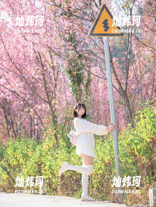 nagesa魔物喵 资源大放送!nagesa魔物喵的水着,感觉比游泳池还清凉!
