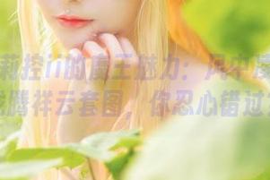 在下萝莉控ii的魔王魅力：风中凌乱的金龙腾祥云套图，你忍心错过？