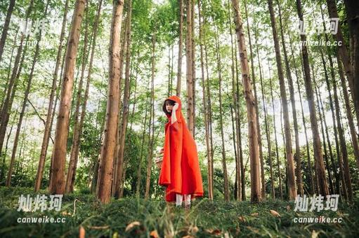 奈汐酱Nice 奈汐酱Nice婚纱全集:美丽无需多言,下载一看便知,情感都藏在那一瞬间