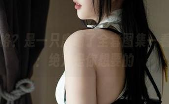 透明风格？是一只废喵了全套图集一看就知道：绝对是你想要的