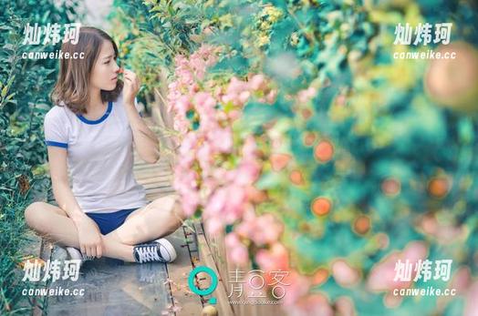 青豆客 - 苏糯米的写真，裤里丝一般的魅力，下载后也许就懂了！